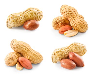 Fıstık fındık toplama