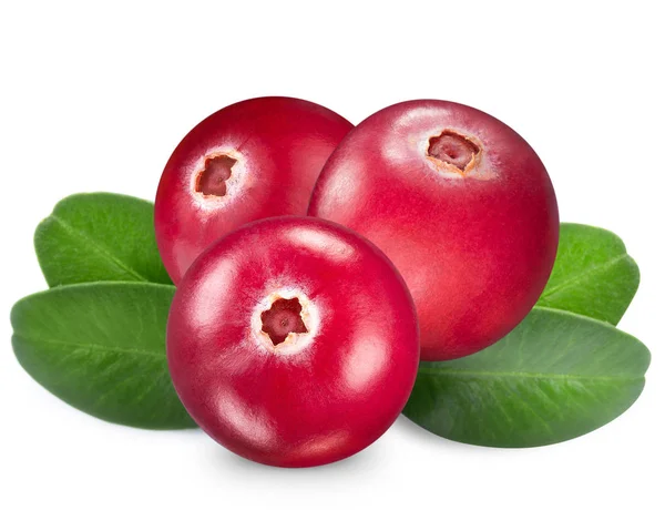 Cranberries on a white — Stock Photo, Image