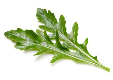 beyaz izole rucola yaprakları
