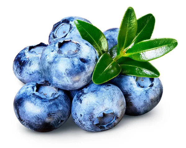 Érett Blueberry elszigetelt Stock Fotó