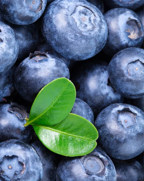 Érett Blueberry háttér Jogdíjmentes Stock Képek