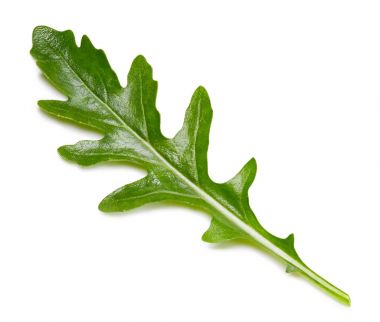 beyaz izole rucola yaprakları