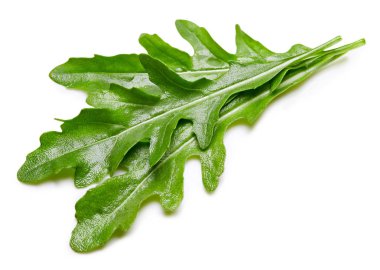 beyaz izole rucola yaprakları