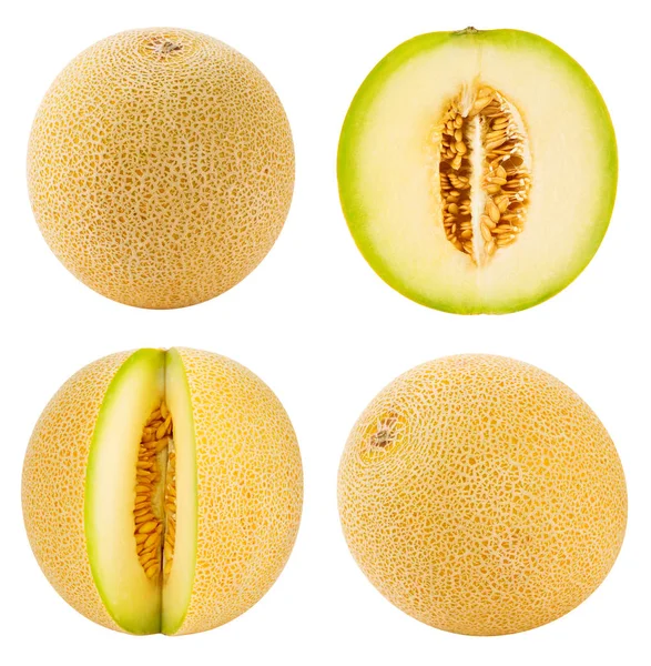 Meloen meloen segmenten — Stockfoto