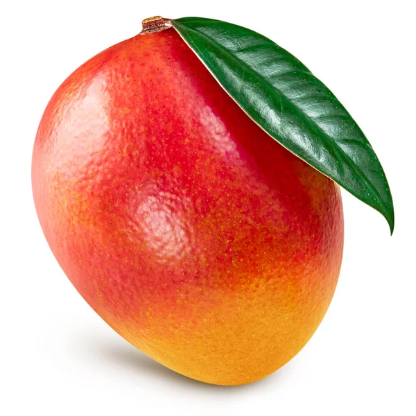 Mogen mango isolerade — Stockfoto