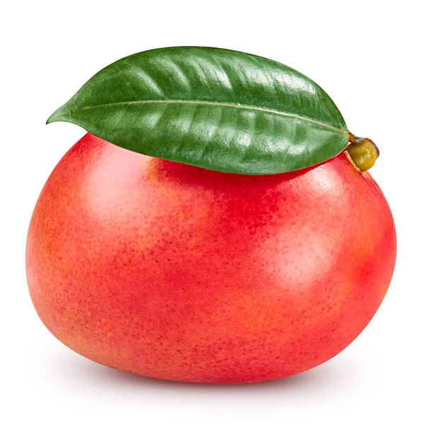 Izole olgun mango — Stok fotoğraf