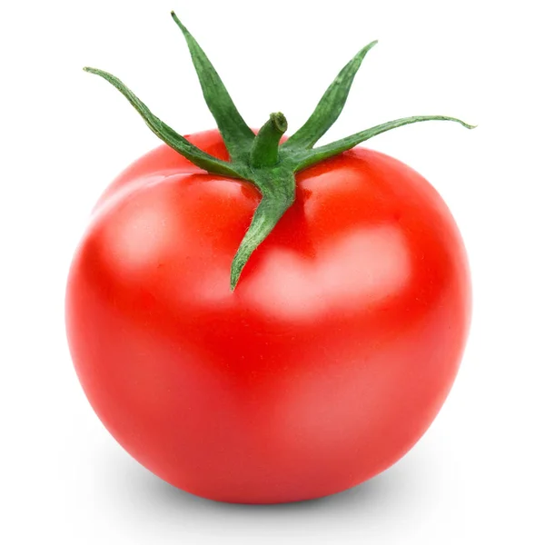 Tomaten isoliert auf weiß — Stockfoto