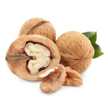 Ceviz yaprağı izole