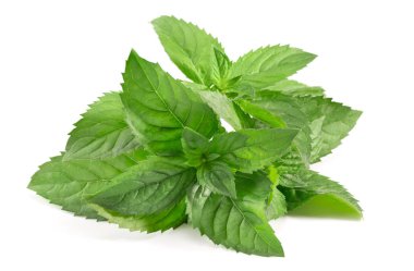 izole nane yaprakları