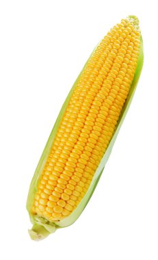 Mısır üzerinde beyaz izole