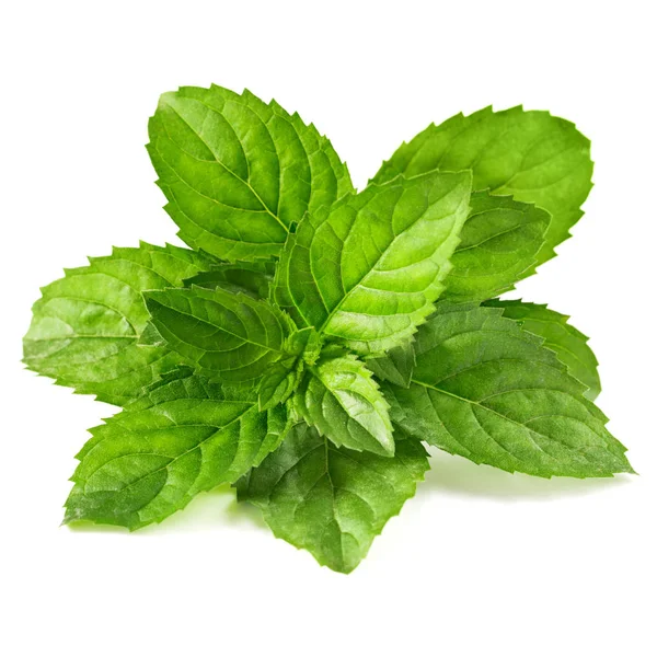 Mint leaves isolated — Stock Photo, Image