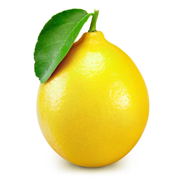 Lemon fruit slice — Stock Photo, Image