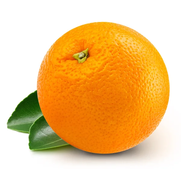 橙色水果与叶 — 图库照片
