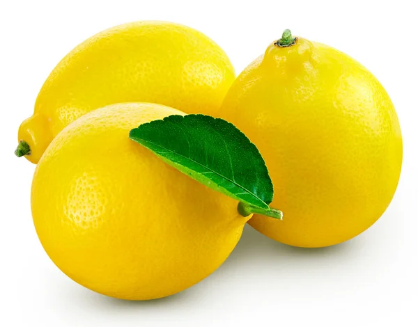 Лимонный лист фруктов — стоковое фото