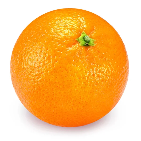 yaprak ile turuncu meyveler