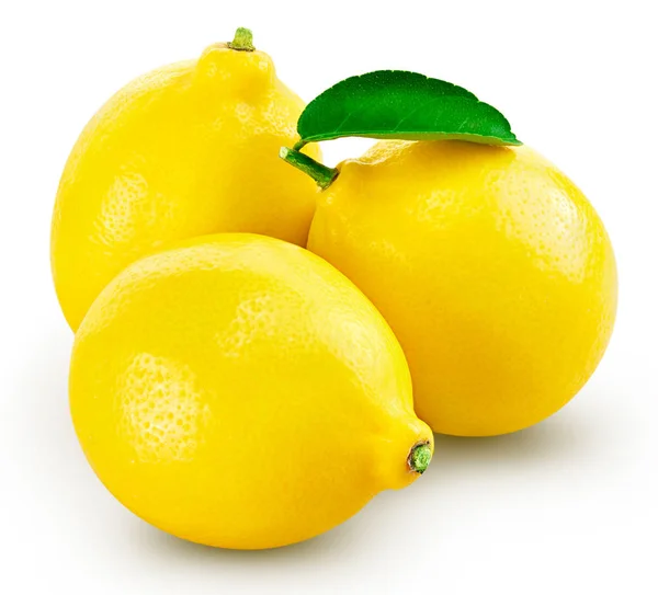 Lemon fruit leaf — Stock Photo, Image