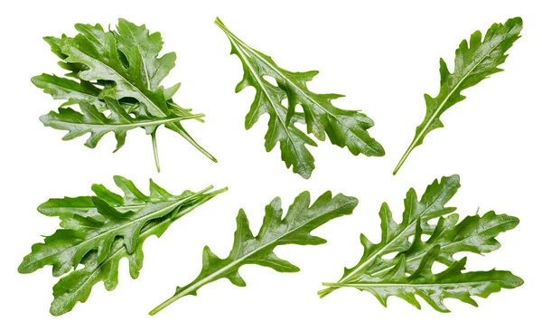 Rucola verlaat collectie — Stockfoto