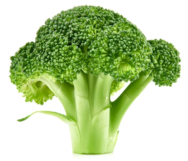 Ruwe broccoli geïsoleerd — Stockfoto