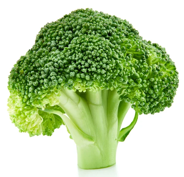 Brócolos em bruto isolados — Fotografia de Stock