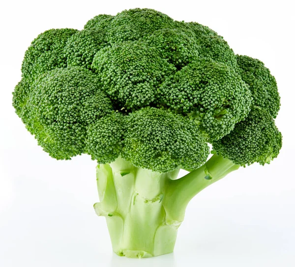 Ruwe broccoli geïsoleerd — Stockfoto