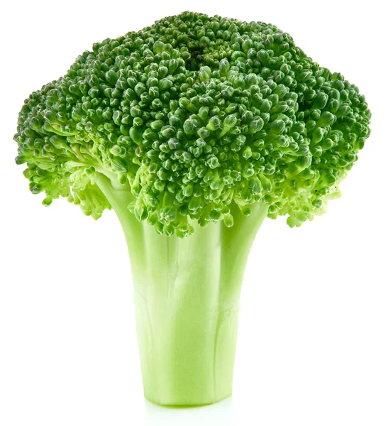 Broccoli crud izolat — Fotografie, imagine de stoc