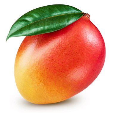 Mango yaprak izole