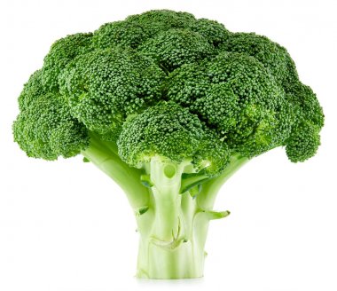 raw broccoli isolated clipart