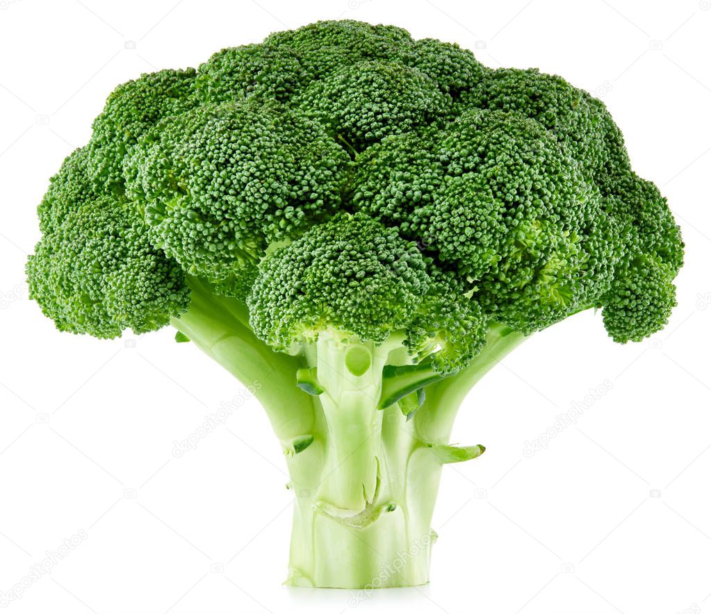 raw broccoli isolated