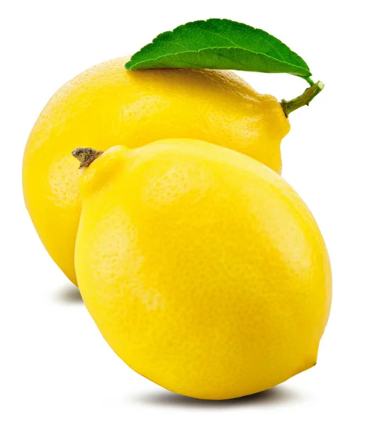 Lemon fruit leaf — Stock Photo, Image