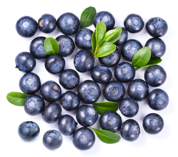 Blueberries isolated on white — Stock Photo, Image