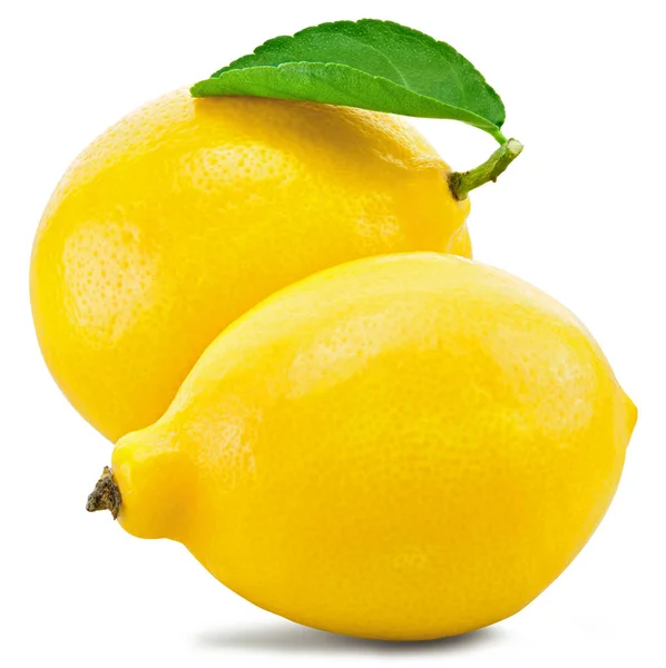 Lemon fruit leaf — Stock Photo, Image