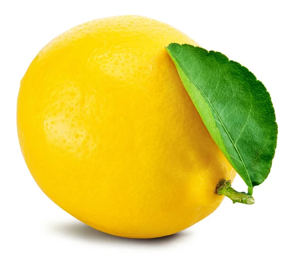 Feuille de citron fruit — Photo