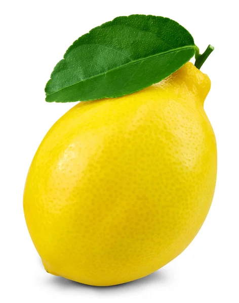 Citron ovoce list — Stock fotografie