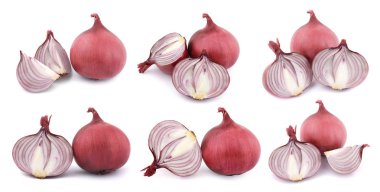 Beyaz üzerinde soğan izole