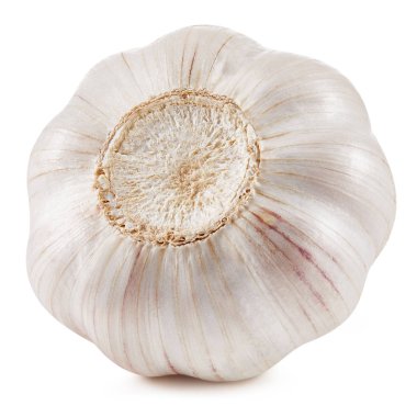 Sarımsak beyaza izole edilmiş