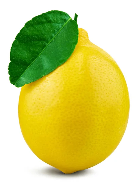 Hoja de fruta de limón — Foto de Stock