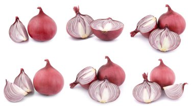 Beyaz üzerinde soğan izole