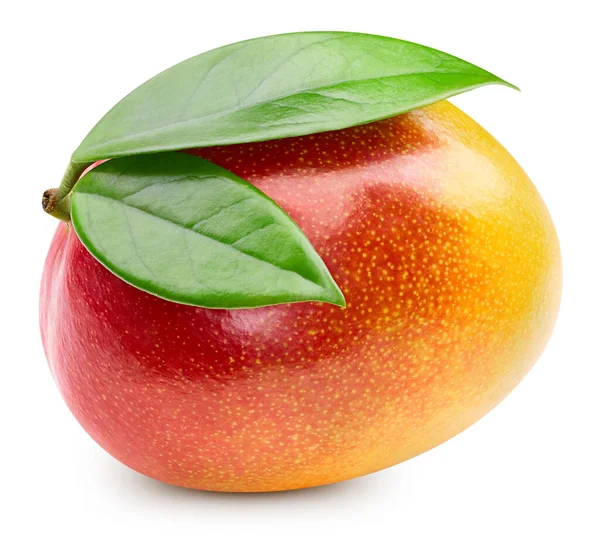 Frutto di mango isolato su bianco — Foto Stock