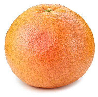 greyfurt beyaz arkaplanda izole