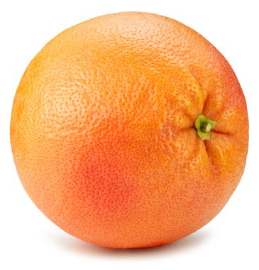 greyfurt beyaz arkaplanda izole