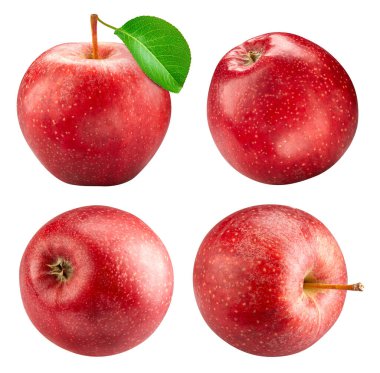 Kırmızı elma koleksiyonu beyaz üzerine izole edildi