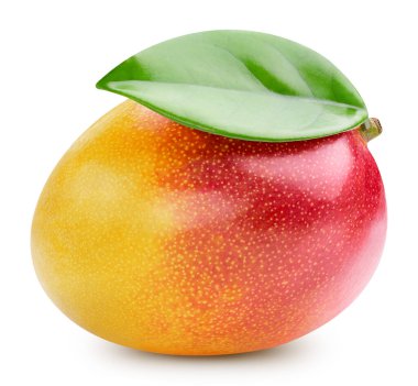 Taze kırmızı mango meyveleri