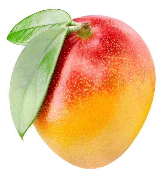 Mango isolato su sfondo bianco. — Foto Stock