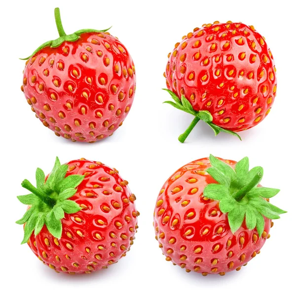 Erdbeer Sammelpfad Erdbeere Isoliert Auf Weißem Hintergrund Professionelles Studio Makro — Stockfoto