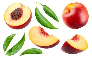 Kırpma yolu ile şeftali koleksiyonu