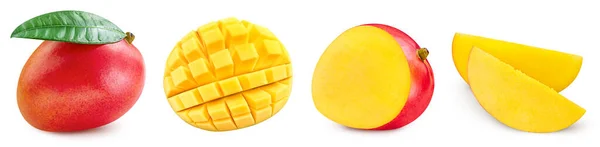 Mango-frukter med isolert grønnblad – stockfoto