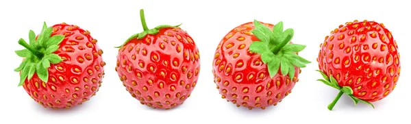 Erdbeerfrüchte mit grünem Blatt — Stockfoto