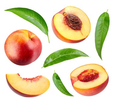 Kırpma ile şeftali koleksiyonu