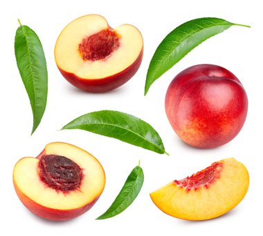 Şeftali koleksiyonu. Kırpma yolu beyaz arkaplanda izole edilmiş şeftali rengi. Taze organik meyve. Tam alan derinliği