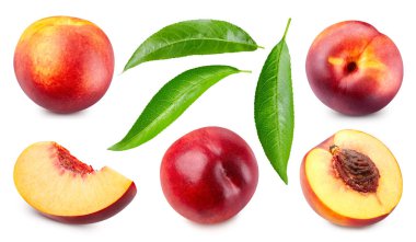 Şeftalili organik meyve toplama seti. Şeftali dolu makro beyaz izole edilmiş meyveli gıda malzemesi. Paket için uygun yol kırpılıyor